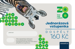 Jednorázová vstupenka dospělá