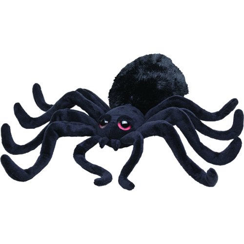 Pavouk velký