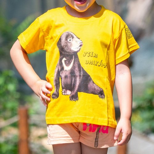 Tričko dětské Medvídě - Barva: Žlutá, Velikost: 7/8 let (122 - 128 cm)