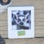 Posuvné puzzle - Motiv: lemur kata