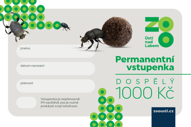Roční vstupenka dospělá