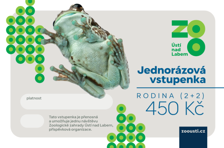 Jednorázová vstupenka rodinná (2 dospělí + 2 děti)