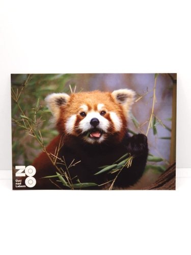 Pohled - Motiv: panda červená