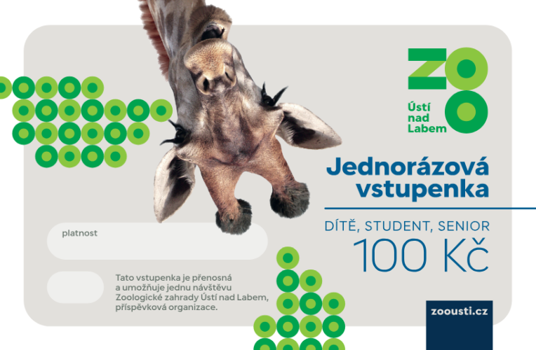 Jednorázová vstupenka dětská/studentská/pro seniory