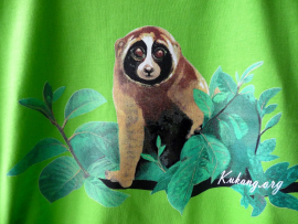 Tričko dětské Kukang - Barva: Zelená, Velikost: 4 roky (110 cm)