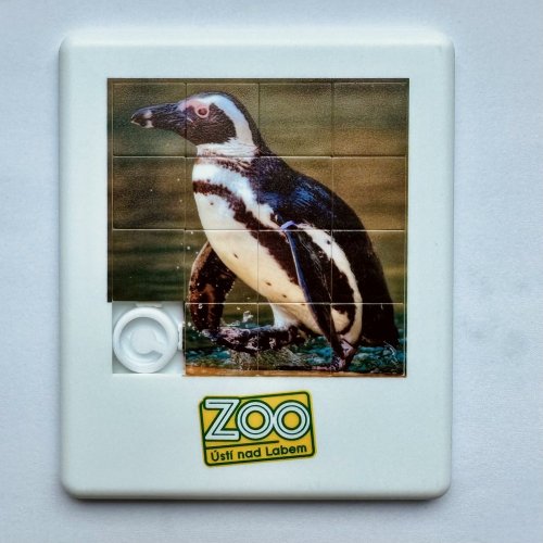 Posuvné puzzle - Motiv: tučňák brýlový